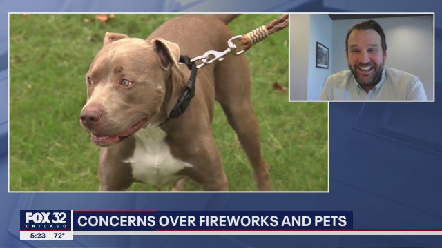 Pet owners concerned about the impact fireworks have on their furry friends
