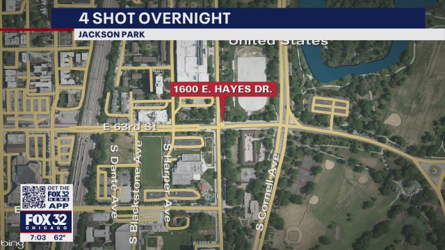 Jackson Park shooting: 4 wounded after suspect opens fire on large crowd