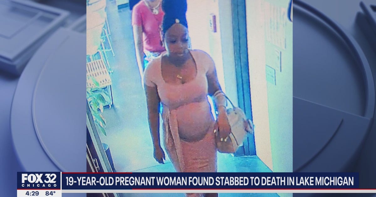 Person questioned in murder of pregnant woman dumped in Lake Michigan ...