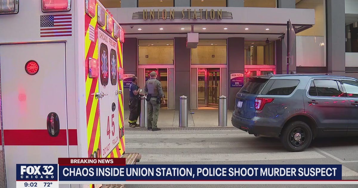 Murder suspect killed inside Chicago's Union Station identified as man ...