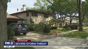 Tree falls on Morton Grove home amid severe weather: 'We were very lucky'