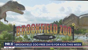 Free admission for kids at Brookfield Zoo through Wednesday