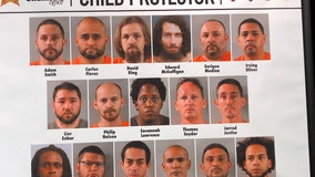 Polk sheriff: Disney employees, nurse and California man among 17 arrested in undercover child predator sting