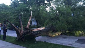 Strong storms move through Chicago area, knock out power for 100,000