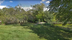 Man's body found in pond in Palatine: police