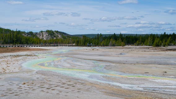 Woman sentenced to jail, fined for walking on thermal ground at Yellowstone