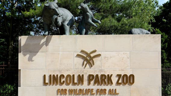 Lincoln Park Zoo to require COVID-19 vaccinations for staff, volunteers