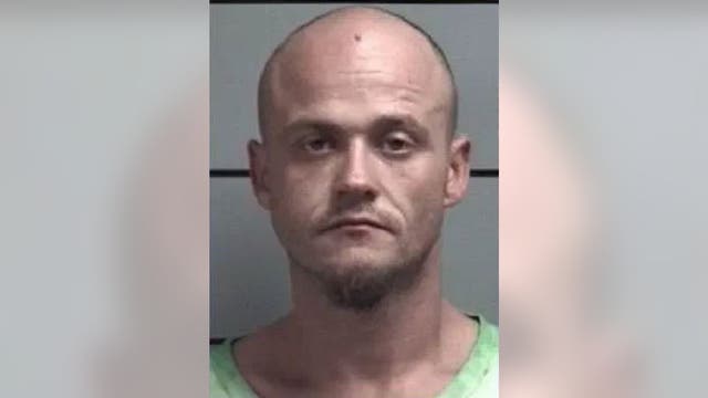 Indiana babysitter pleads not guilty in death of girl, 11 months, found dead in woods