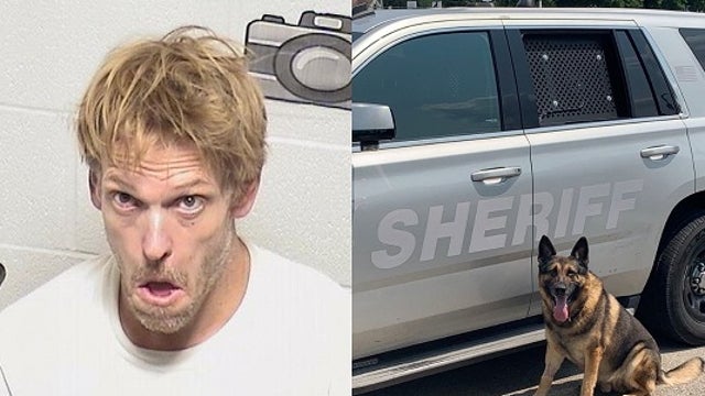 Grayslake man who stabbed woman apprehended by Lake County Sheriff's Canine