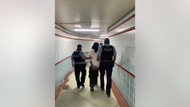 CTA pistol-whipping attacks: Person of interest in custody, airsoft pistol recovered from backpack