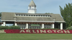 Bears seek permit to begin demolition of Arlington International Racecourse