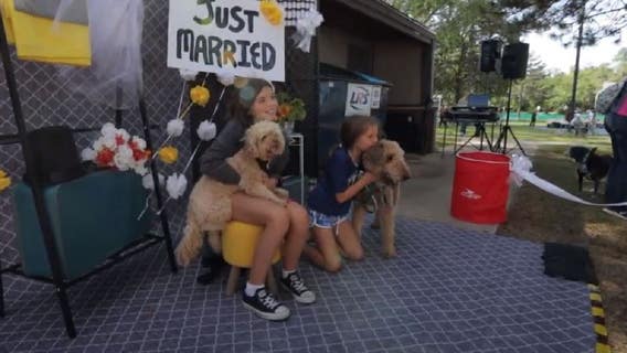 Suburban community attempts Guinness World Record for Largest Dog Wedding Ceremony