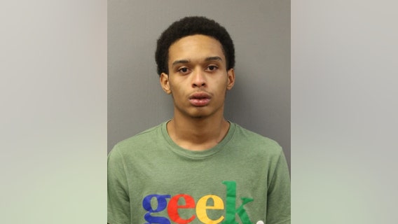 18-year-old charged in Irving Park armed carjacking