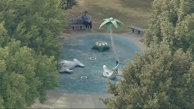 CDC: Child infected by deadly brain-eating amoeba at Arlington splash pad