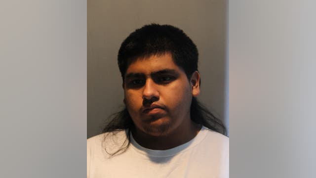 Chicago teen charged with fatally shooting 20-year-old woman