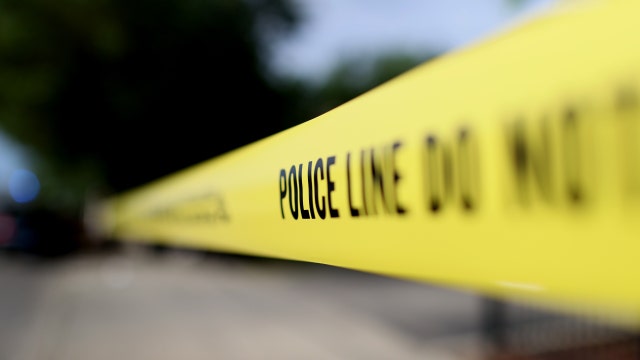 Woman found stabbed to death on street near her Oak Forest home