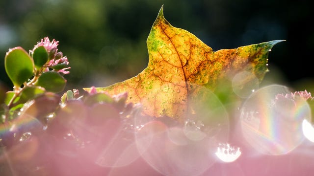 Warm and sunny weather in Chicago area Monday and Tuesday, but a cold front is looming on Wednesday