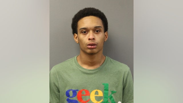 18-year-old charged in Irving Park armed carjacking
