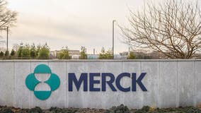 Merck says experimental COVID-19 pill cuts hospitalizations, deaths by half