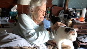 101-year-old woman adopts 19-year-old cat from animal shelter