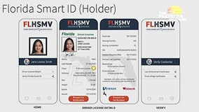 Florida to soon launch digital driver's licenses
