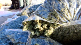 Police allegedly helped illegal multimillion-dollar marijuana operation