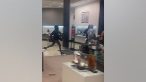 At least 7 thieves make off with purses from Bloomingdale's in Skokie: police