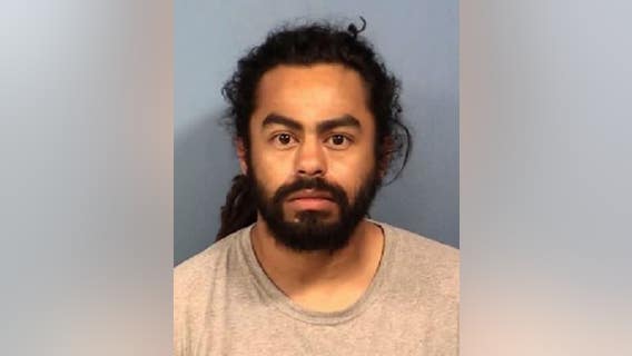 Woodridge man found guilty of animal cruelty in fire that killed 29 dogs