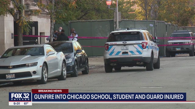 Chicago girl, 14, shot at high school asks gunman to surrender to police