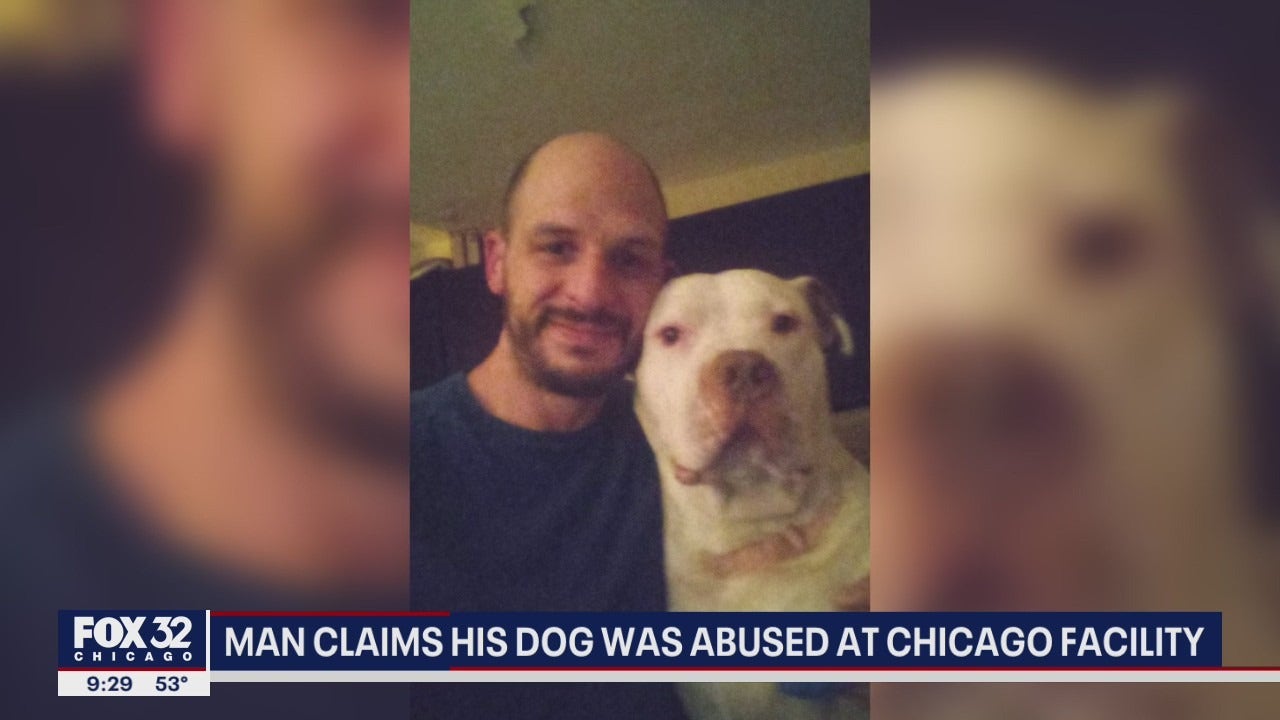 Chicago man claims his dog was abused at training and boarding facility