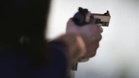 Illinois lawmaker takes aim on popular exploding gun range target