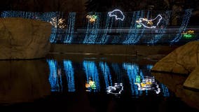 Lincoln Park ZooLights opens with 11 free nights in November and December