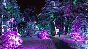 Looking for exercise and holiday spirit? Morton Arboretum has opened 'Illumination' walking trail