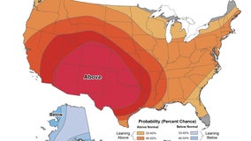 Mild start to meteorological winter
