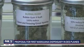 'Dispensary 33' may open in Des Plaines, as Libertyville again considers recreational pot sales