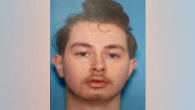 Boy, 16, reported missing from Irving Woods