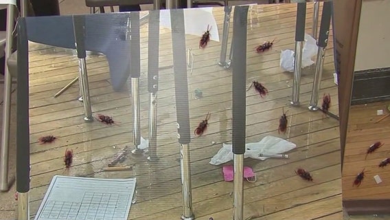 CPS teachers and students rally for increased staffing, cleaner schools