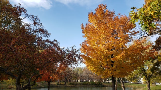 Warm weather in Chicago area to continue, followed by rain and 40 degree highs and maybe even snow