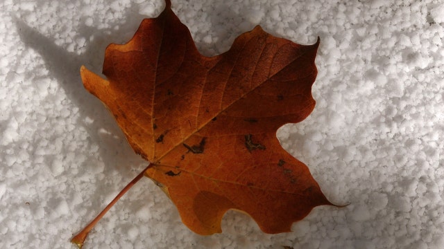Chicago receives first dusting of snow this season, next round expected Saturday