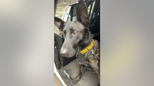 K9 helps apprehend suspects wanted for Calumet City homicide