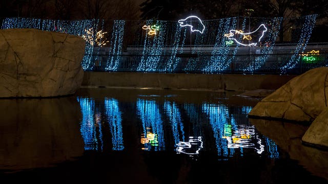 Lincoln Park ZooLights opens with 11 free nights in November and December