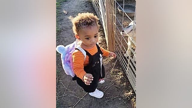 Indiana coroner confirms body pulled from pond is missing 1-year-old Illinois girl