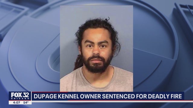 Owner of kennel where 29 dogs died in fire gets 20 days in jail, 100 hours of community service