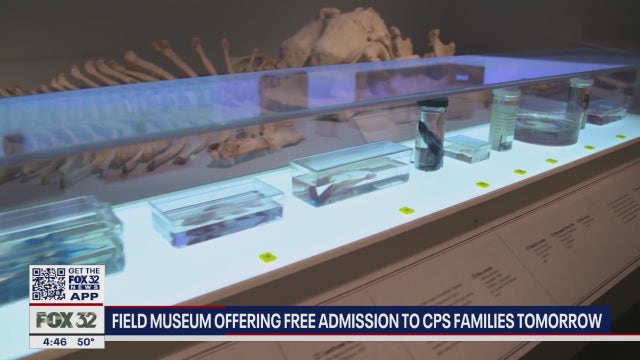 Field Museum offering free admission to Chicago Public School students, teachers on Friday