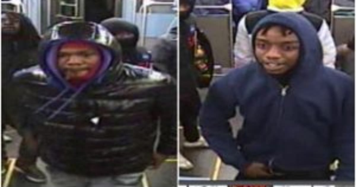 Pair sought for robbery, battery on Red Line train in Loop | FOX 32 Chicago