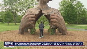 The Morton Arboretum in Lisle celebrates 100th anniversary