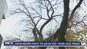 Lakeview residents fight to save 100-year-old trees