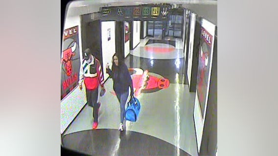 Chicago police locate two kittens who disappeared after being dumped in garbage can at O'Hare Airport