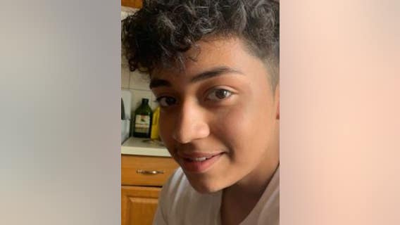 Teen who fatally stabbed 15-year-old boy gets probation, community service