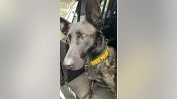 Suspect wanted by Orland Park, Chicago police apprehended by K-9